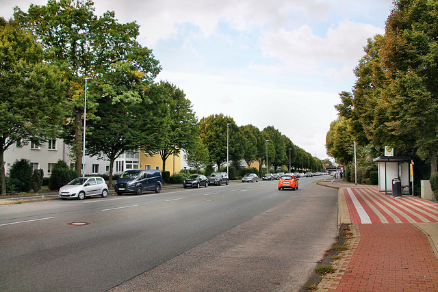 Homberger Straße (Moers) / 3.10.2022