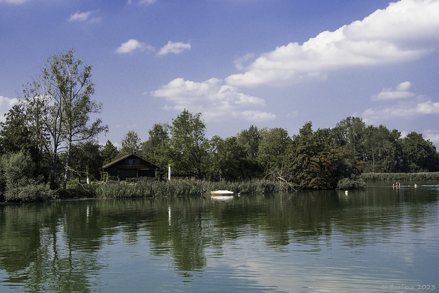 am Greifensee (© Buelipix)