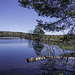 am Madawaska River (© Buelipix)