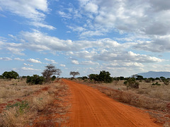 The red earth of Tsavo East.