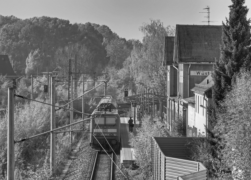 (300/365) Regionalbahn im Bahnhof Wüstenbrand