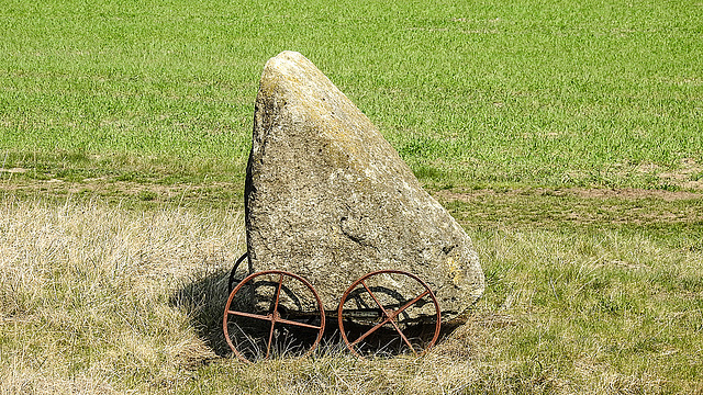 20190408 4578CPw [D~HVL] Asterix-Hinkelsteinl, Gülpersee Südufer, Rhinow