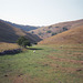 Lin Dale looking towards the Stepping Stones (Scan from August 1989)