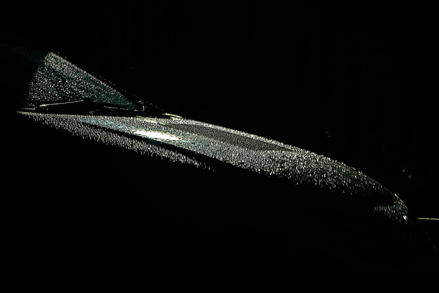 In The Rain. At The Petrol Pumps. Beside The Car Wash