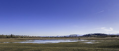 Neeracherried-Panorama (© Buelipix)