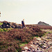 Looking back to Mainstone Rock with Trig Point at 536m (scan from 1996)