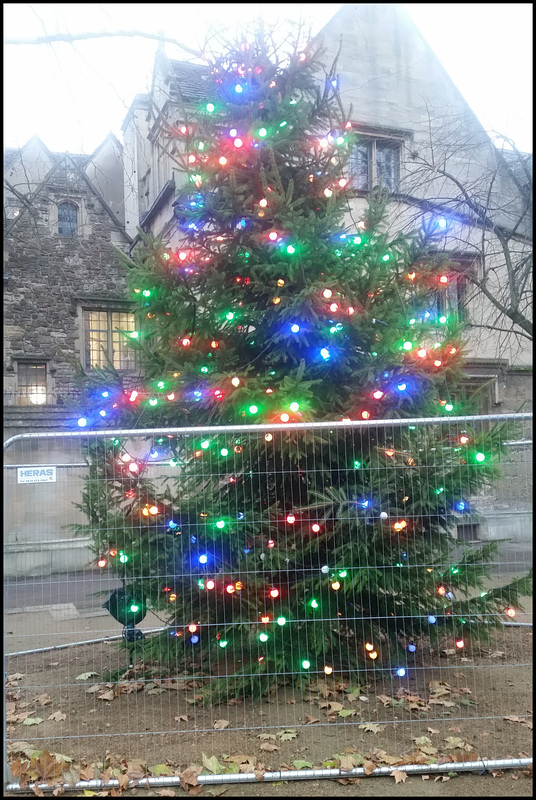 Christmas fence