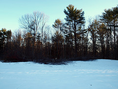 The barn site