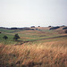 Fields above Milldale (Scan from August 1989)