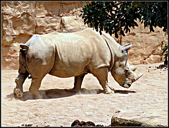 Biopark Valencia, 115