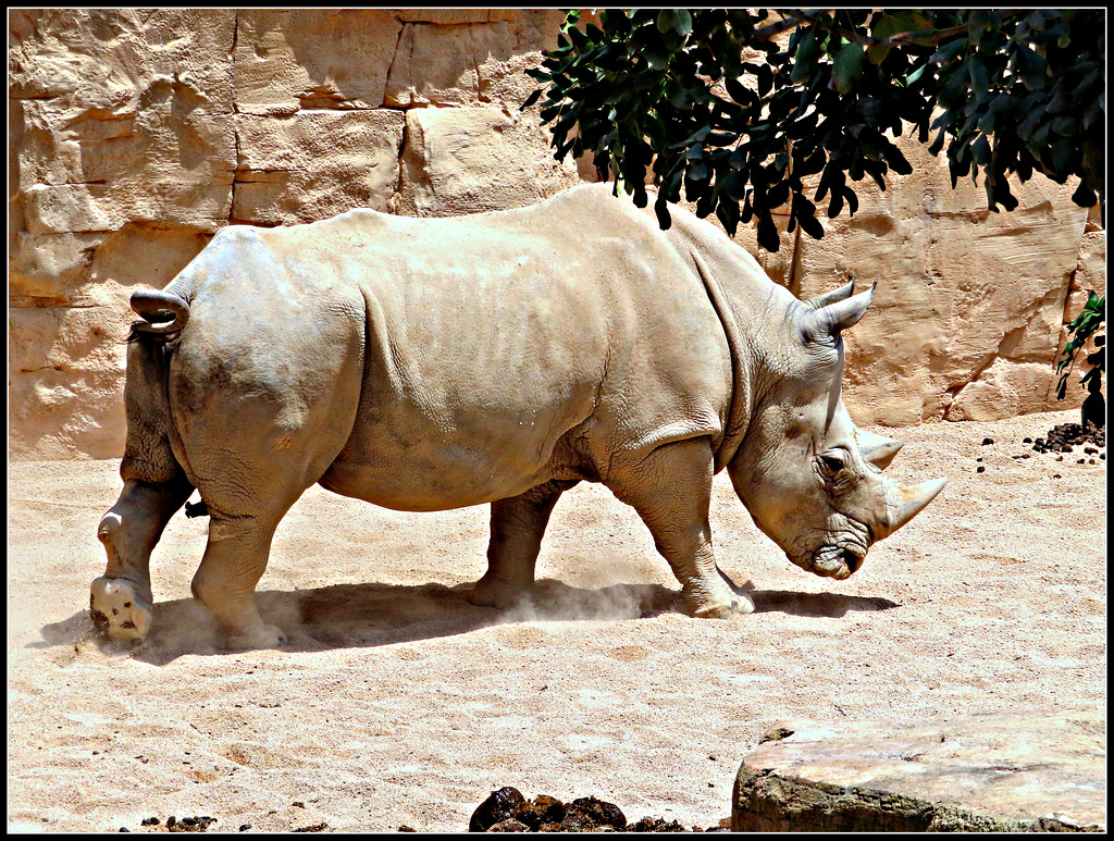 Biopark Valencia, 115