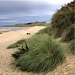 The Beach at Dunstanburgh