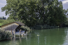 Herbst am Greifensee (© Buelipix)