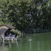 Herbst am Greifensee (© Buelipix)