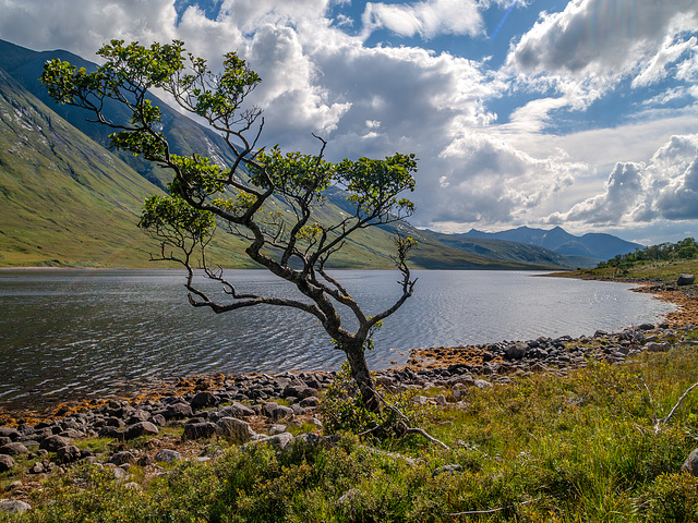 Loch Etive