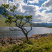 Loch Etive