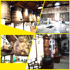 ALCOBAÇA WINE MUSEUM - I