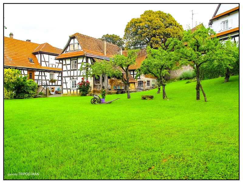 Elsass