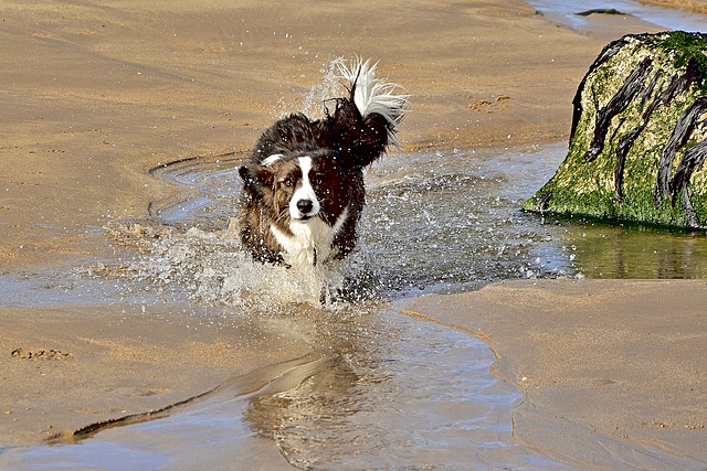 Having a Splashing Time!