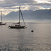 Morgenstimmung am Genfer See