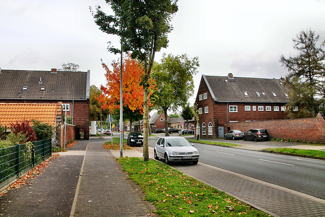 Homberger Straße (Moers-Hochstraß) / 3.10.2022