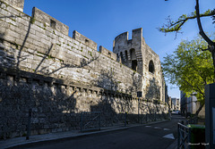 Teilansicht  der Stadtmauer von Avignon