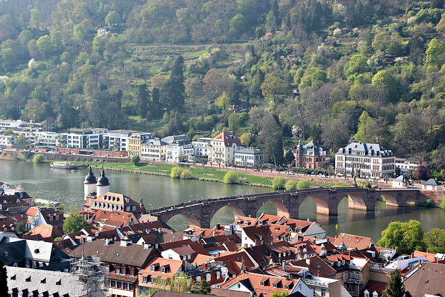 Neckarblick