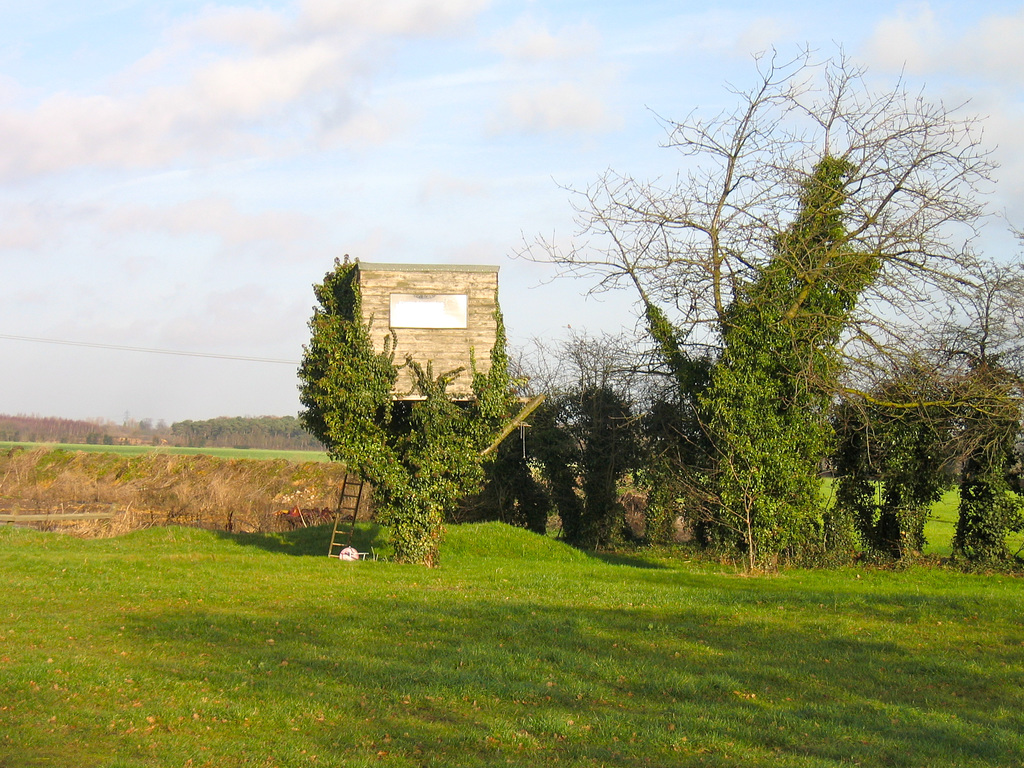 Former Tree House near Fisherwick Park Farm