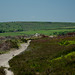 Middle Moor -looking to Cown Edge