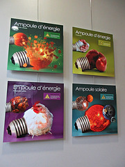 exposition,