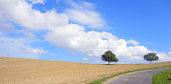 virage à droite