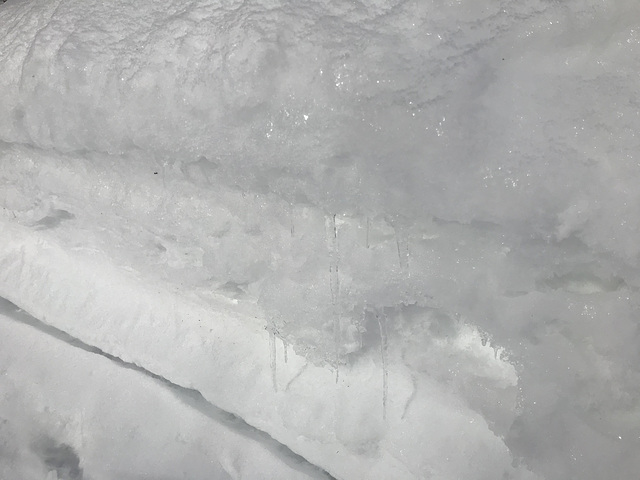 icicles in melting snow