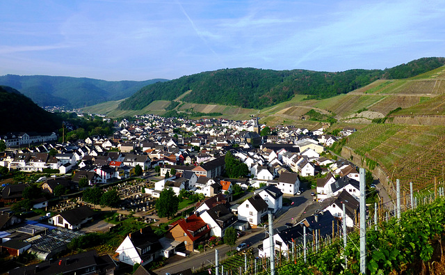 DE - Dernau - View from the vineyards