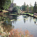 Trout Pond at Tissington (Scan from August 1989)