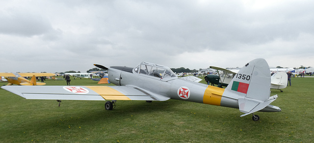 de Havilland Canada DHC1 Chipmunk 22 G-CGAO/ 1350 (Portuguese Air Force)