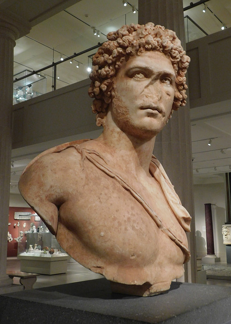 Marble Portrait Bust of a Young Man in the Metropolitan Museum of Art, October 2023