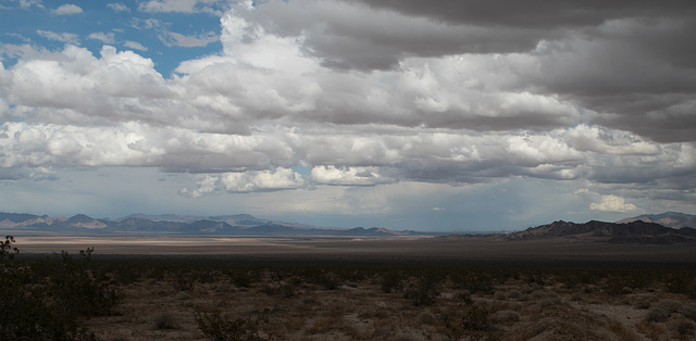 Amboy desert rain (#1015).