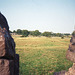 Looking back West across fields towards  Tissington (Scan from August 1989)