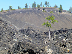 Lava-Kegel, Lava Butte, Oregon, USA