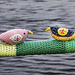 Woolly Birds on the Bank of the River Clyde, Dumbarton