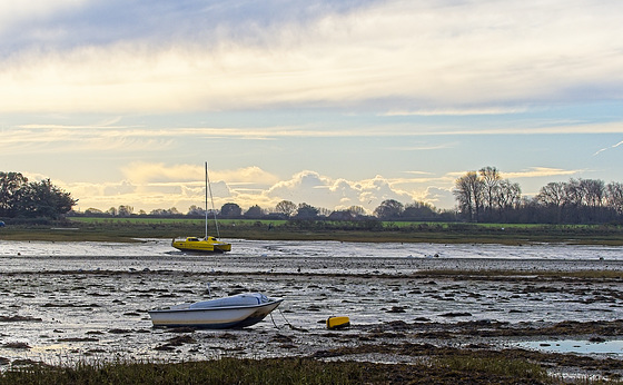 Winter Sunshine at Low Tide