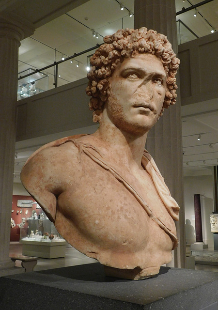 Marble Portrait Bust of a Young Man in the Metropolitan Museum of Art, October 2023