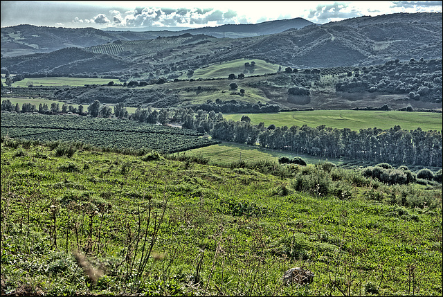 Valle del Genal