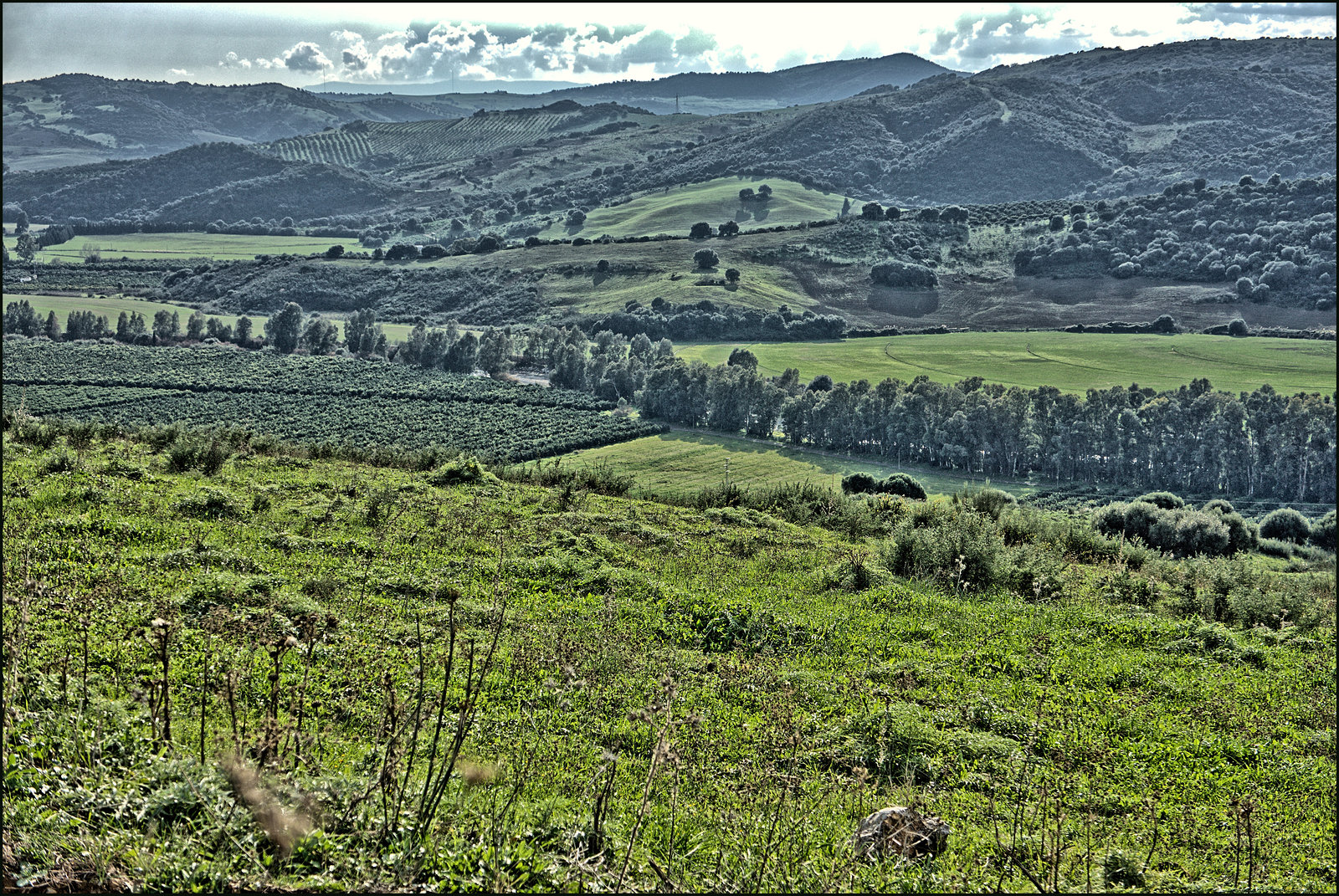 Valle del Genal