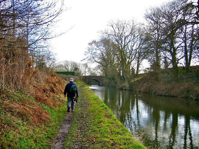 Looking towards Hademore House Bridge on the Coventry Canal