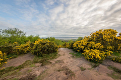 Thurstaston Common12