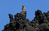Streifenhörnchen auf Lava - Lava Butte, Oregon, USA (PiP)