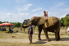 Elefanten-Reiten