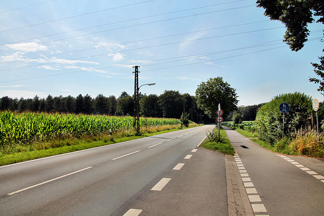 Lippramsdorfer Straße (Dorsten) / 20.07.2024