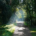 Valley Walk in the afternoon sunlight